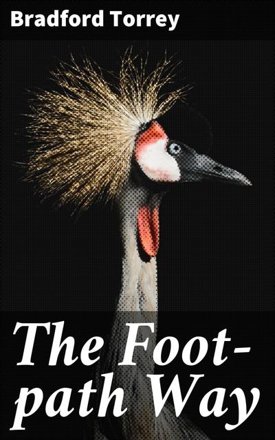 The Foot-path Way (eBook, EPUB) - Bradford Torrey