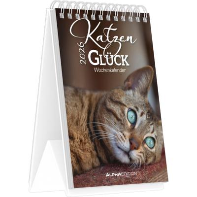 Katzenglück - Tischaufstellkalender mit 53 Motiven und Sprüchen im Format 10,5 x 14,8