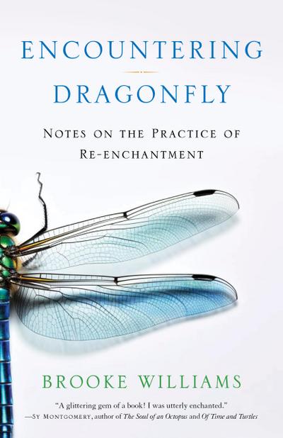 Encountering Dragonfly