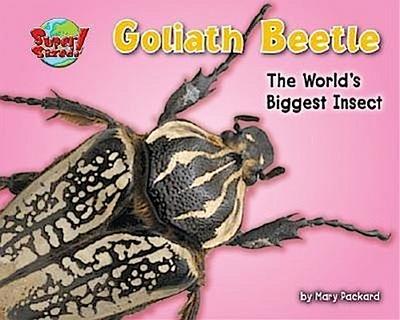 Goliath Beetle: One of the World’s Heaviest Insects
