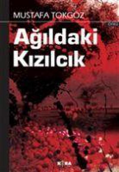 Agildaki Kizilcik