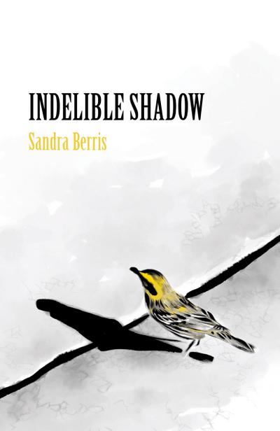Indelible Shadow