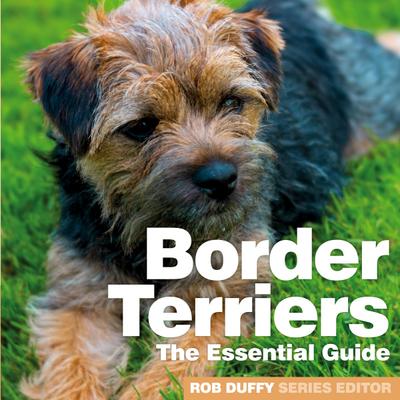 Border Terriers