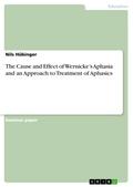 The Cause and Effect of Wernicke´s Aphasia and an Approach to Treatment of Aphasics