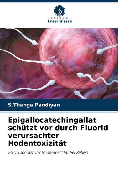 Epigallocatechingallat schützt vor durch Fluorid verursachter Hodentoxizität