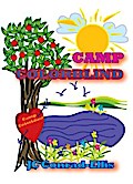 Camp Colorblind