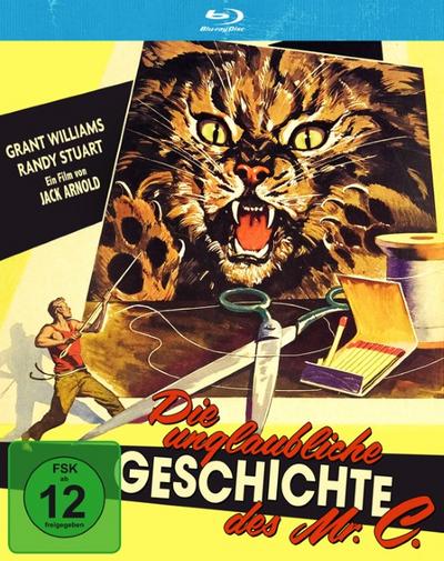 Die Unglaubliche Geschichte des Mr. C