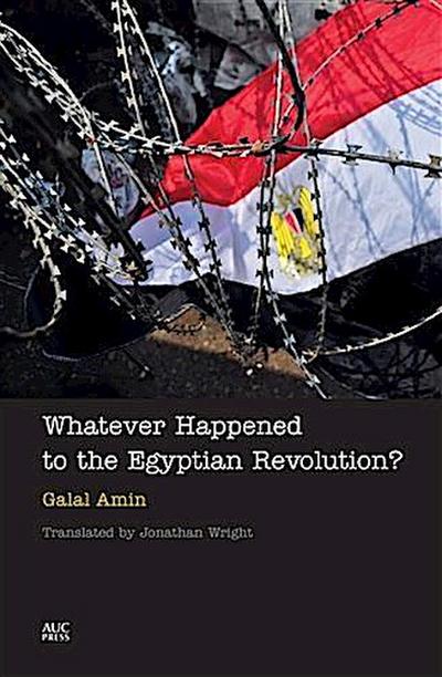 Whatever Happened to the Egyptian Revolution?