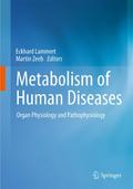 Principles of Metabolism and Its Common Diseases