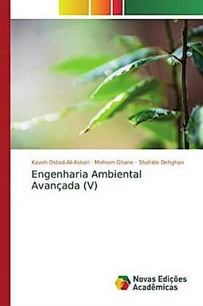 Engenharia Ambiental Avançada (V)