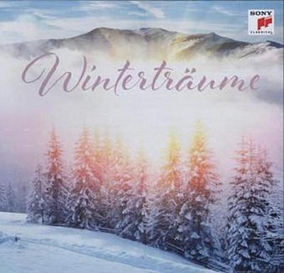 Winterträume - Various