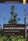 Waldschäden