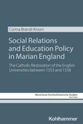 Social Relations and Education Policy in Marian England