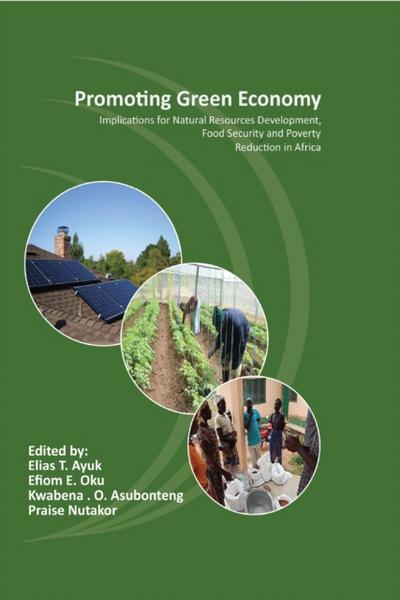 Promoting Green Economy