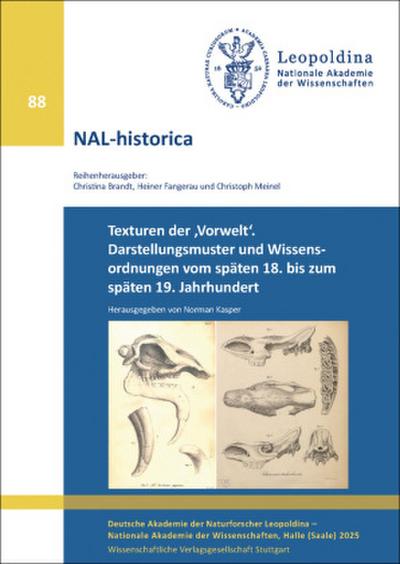 Texturen der ’Vorwelt’