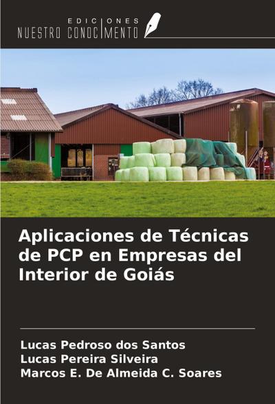 Aplicaciones de Técnicas de PCP en Empresas del Interior de Goiás