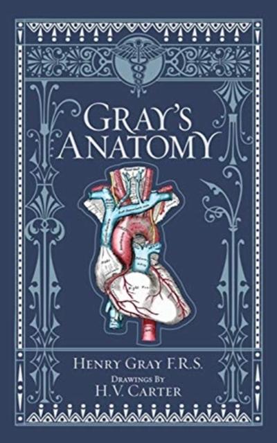 Gray’s Anatomy (Barnes & Noble Collectible Classics: Omnibus Edition)