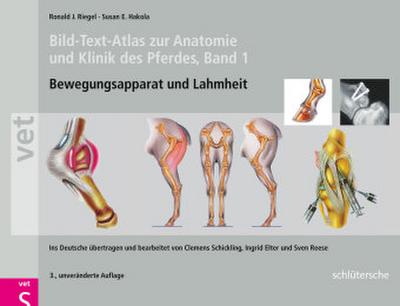 Bild-Text-Atlas zur Anatomie und Klinik des Pferdes