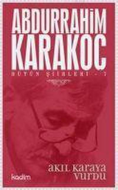 Bütün Siirleri 7 - Akil Karaya Vurdu