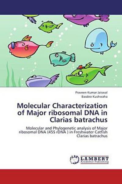 Molecular Characterization of Major ribosomal DNA in Clarias batrachus