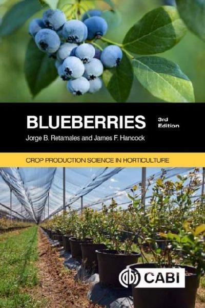 Blueberries