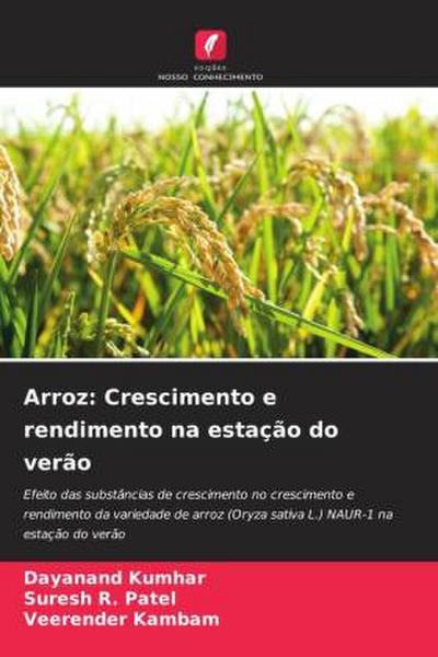 Arroz: Crescimento e rendimento na estação do verão