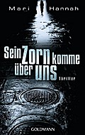 Sein Zorn komme über uns: Thriller