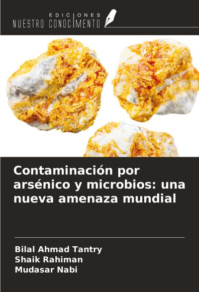 Contaminación por arsénico y microbios: una nueva amenaza mundial