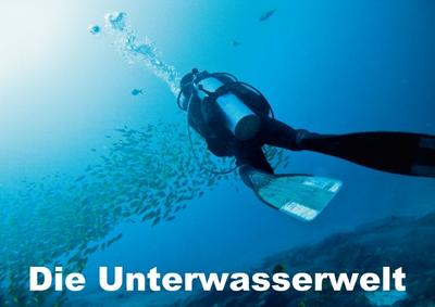 Die Unterwasserwelt (Posterbuch DIN A4 quer)
