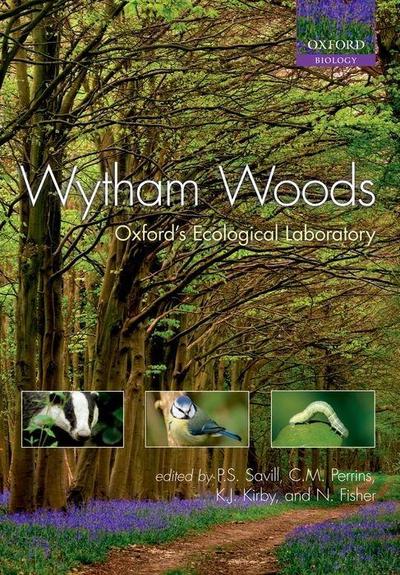 Wytham Woods: Oxford’s Ecological Laboratory
