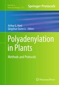 Polyadenylation in Plants