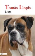 Lluc