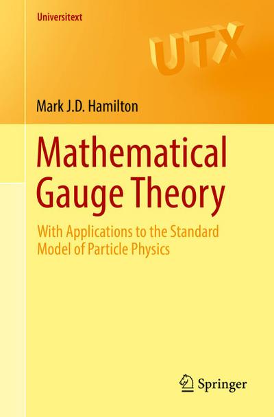 Mathematical Gauge Theory