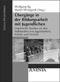 Übergänge in der Bildungsarbeit mit Jugendlichen: Empirische Studien zu den Nahtstellen von Jugendarbeit, Schule und Freizeit (Edition ProjektArbeit)