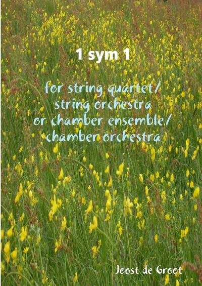 1 sym 1 for string quartet/string orchestra or chamber ensemble/chamber orchestra