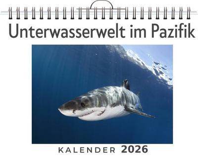 Unterwasserwelt im Pazifik