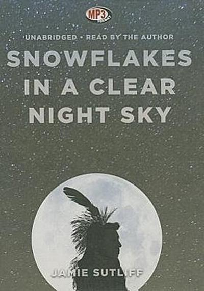 Snowflakes in a Clear Night Sky
