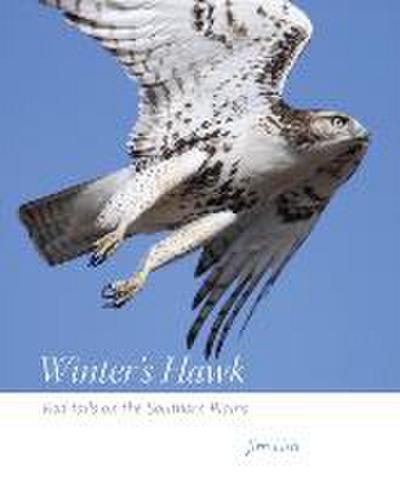 Winter’s Hawk: Red-Tails on the Southern Plains