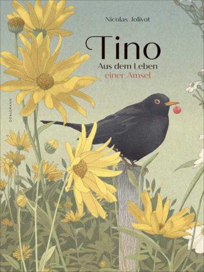 Tino