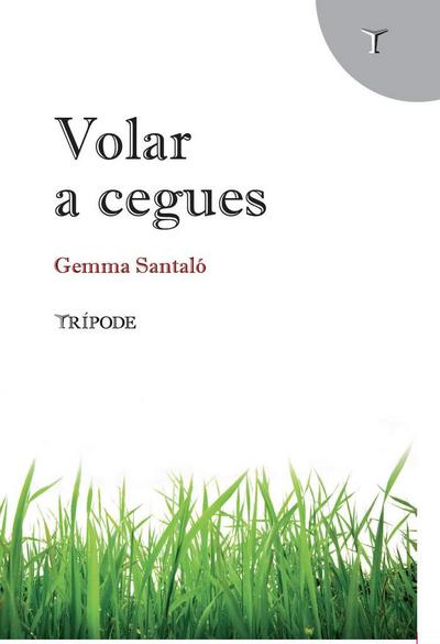 Volar a cegues