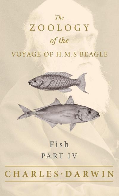 Fish - Part IV -  The Zoology of the Voyage of H.M.S Beagle