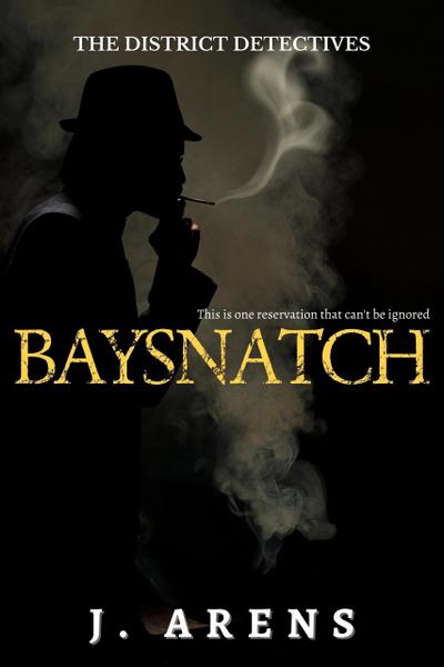 Baysnatch (The District Detectives, #2)