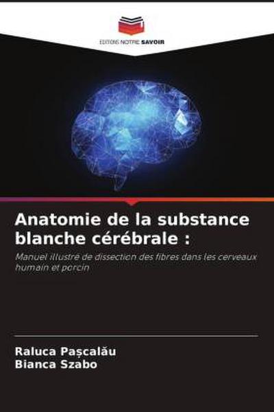 Anatomie de la substance blanche cérébrale :