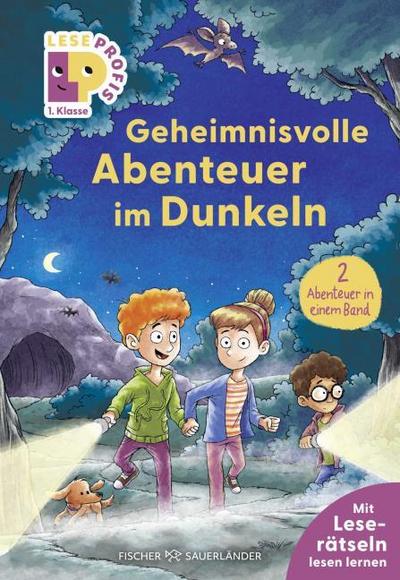 Leseprofis – Geheimnisvolle Abenteuer im Dunke...