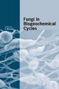 Fungi in Biogeochemical Cycles