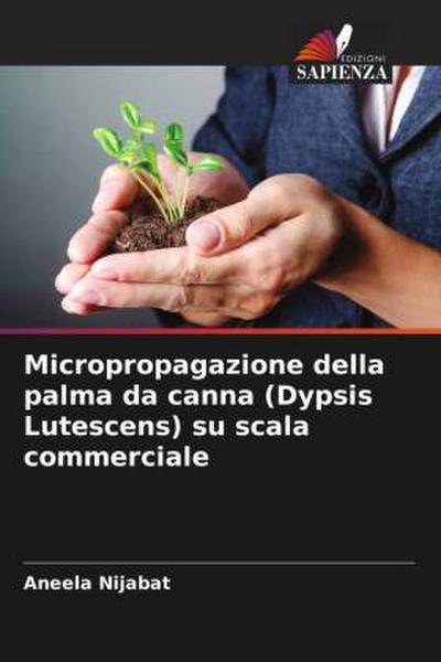 Micropropagazione della palma da canna (Dypsis Lutescens) su scala commerciale