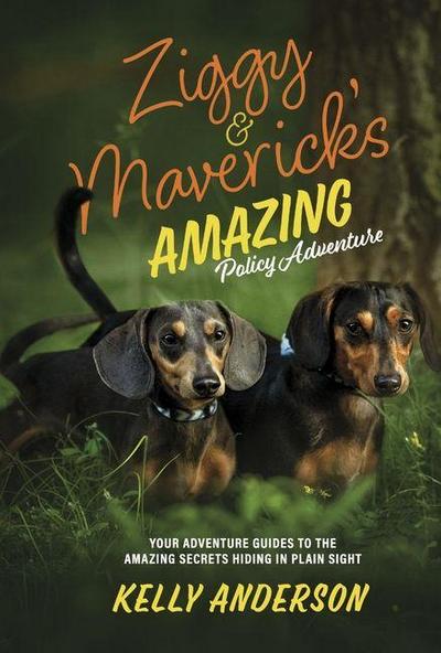 Ziggy and Maverick’s Amazing Policy Adventure
