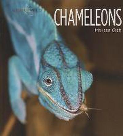 Chameleons