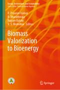 Biomass Valorization to Bioenergy