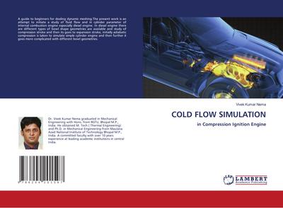 COLD FLOW SIMULATION
